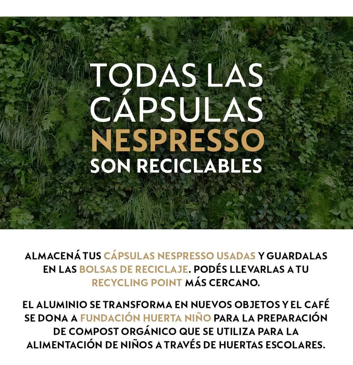 Foto 4 de la publicación de HOUSEANDOFFICE SRL: Nespresso Citiz D140